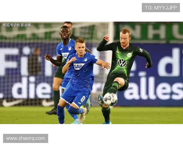 [德甲]第16轮：霍芬海姆VS沃尔夫斯堡.